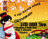 /album/japani-befektetesi-lehetosegek/a4-nap-karate-edzes-okinawan-74341-7-jpg/